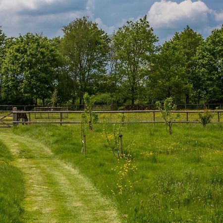 فيلا The Cowsheds Brinkworth المظهر الخارجي الصورة