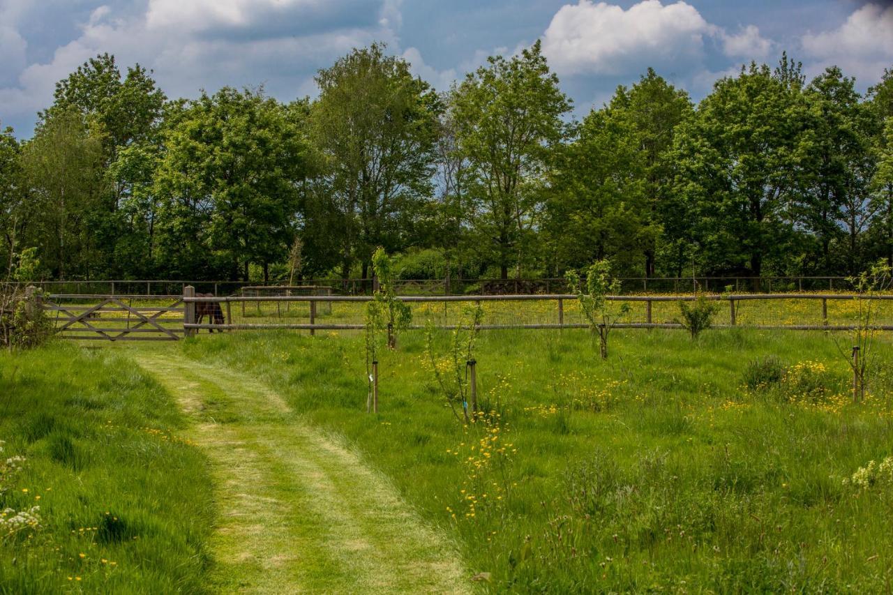 فيلا The Cowsheds Brinkworth المظهر الخارجي الصورة